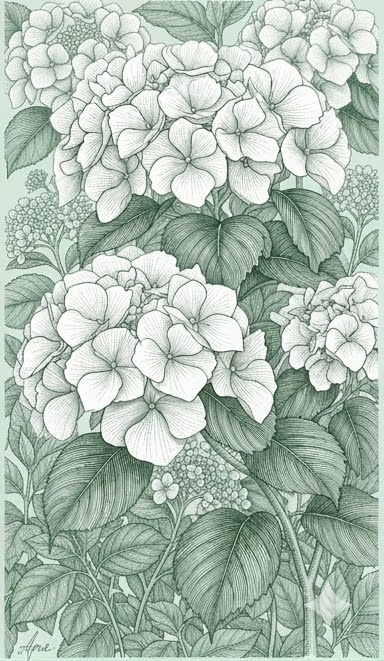 Bouquet di fiori